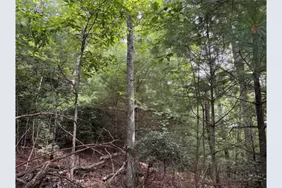 Lot 9 Ledgestone Lane, Boone, NC 28607 - Photo 20