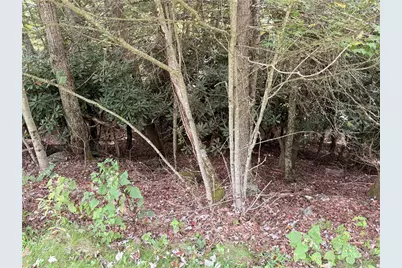 Lot 9 Ledgestone Lane, Boone, NC 28607 - Photo 26