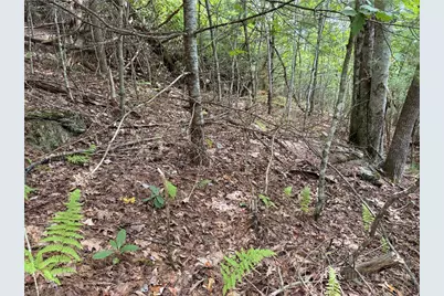 Lot 9 Ledgestone Lane, Boone, NC 28607 - Photo 14