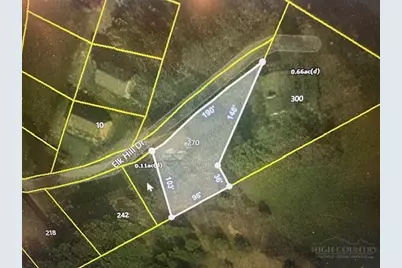 270 Elk Hill Drive, Banner Elk, NC 28604 - Photo 6