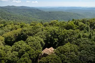 163 Forbes Way, Blowing Rock, NC 28605 - Photo 44