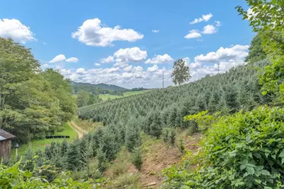 6104 Howards Creek Road, Boone, NC 28607 - Photo 26