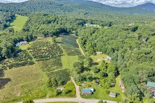 6104 Howard's Creek Rd, Boone, NC 28607 - Photo 42
