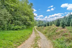 6104 Howard's Creek Rd, Boone, NC 28607 - Photo 32