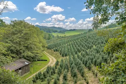 6104 Howards Creek Road, Boone, NC 28607 - Photo 40