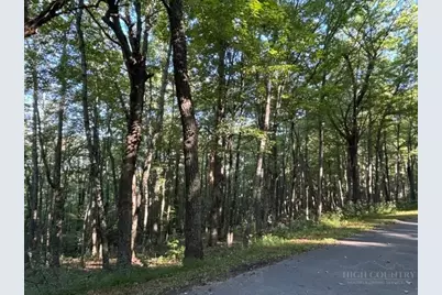 Tbd Linwood Lane, Newland, NC 28657 - Photo 2