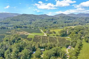 226 Clay Hodges Rd, Boone, NC 28607 - Photo 30