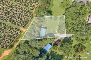 226 Clay Hodges Rd, Boone, NC 28607 - Photo 4