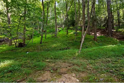 Tbd Owens Drive, Boone, NC 28607 - Photo 8