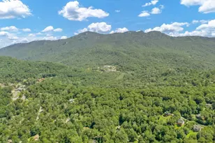 393 Green Cove Rd, Sugar Mountain, NC 28604 - Photo 38