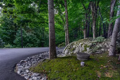 225 Isle Of Skye, Banner Elk, NC 28604 - Photo 4