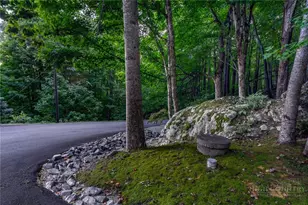 225 Isle of Skye, Banner Elk, NC 28604 - Photo 4