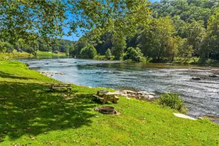 1446 Deacon Rd, Grassy Creek, NC 28631 - Photo 4