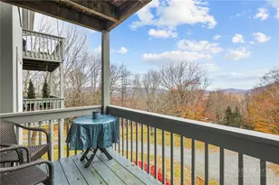 161 Skyleaf Dr, Sugar Mountain, NC 28604 - Photo 8