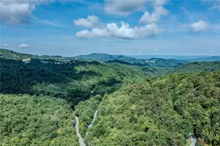 101 Sage Knoll, Beech Mountain, NC 28604 - Photo 42
