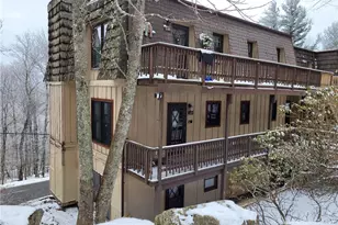 101 Mid Holiday Ln, Beech Mountain, NC 28604 - Photo 2