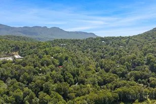 689 Sugar Mountain Dr, Sugar Mountain, NC 28604 - Photo 46