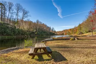 138 Springhouse Dr, Elk Park, NC 28622 - Photo 42