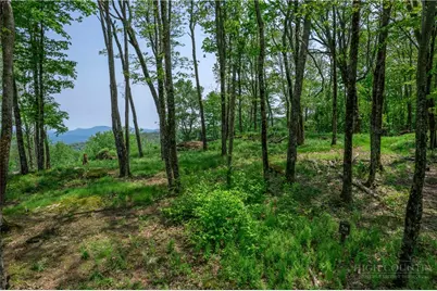 N-3A Crestline Court, Banner Elk, NC 28604 - Photo 6