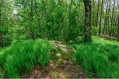 N-3A Crestline Court, Banner Elk, NC 28604 - Photo 10
