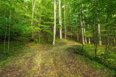 Tbd Wasatch Drive, Boone, NC 28607 - Photo 20