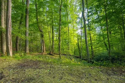 Tbd Wasatch Drive, Boone, NC 28607 - Photo 2