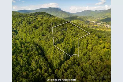 Tbd Wasatch Drive, Boone, NC 28607 - Photo 8