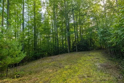 Tbd Wasatch Drive, Boone, NC 28607 - Photo 18