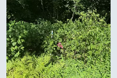 Lot 5 Wapiti Way, Boone, NC 28607 - Photo 34