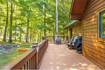 16 Panther Trail Lane, Elk Park, NC 28622 - Photo 40