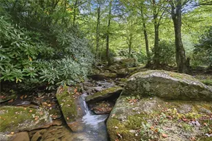 9680 Nc Hwy 181, Newland, NC 28657 - Photo 36