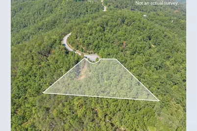 1319 Round Leaf Lane, Ferguson, NC 28624 - Photo 2