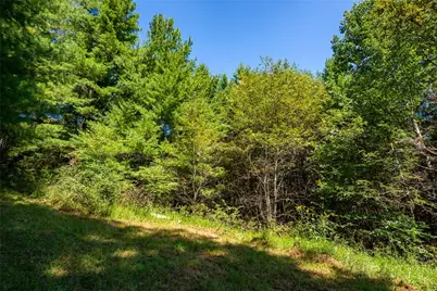 257 Alta Vista Lane, Sparta, NC 28675 - Photo 8