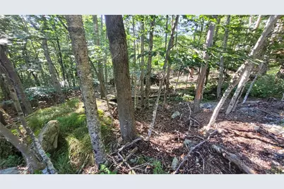 112 Upper Snowbird Trail, Beech Mountain, NC 28604 - Photo 6