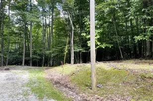 104 N Hickory Ln, Beech Mountain, NC 28604 - Photo 1
