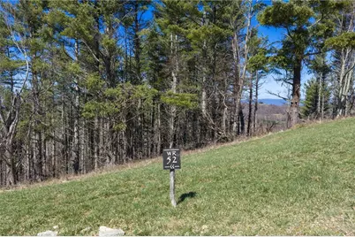 Tbd (Lot 52) Clouds Rest Drive, Elk Park, NC 28622 - Photo 4