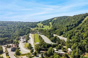 100 Lower Holiday Ln, Beech Mountain, NC 28604 - Photo 34
