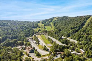 100 Lower Holiday Ln, Beech Mountain, NC 28604 - Photo 36