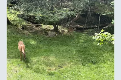 100 Lower Holiday Lane #C207, Beech Mountain, NC 28604 - Photo 36