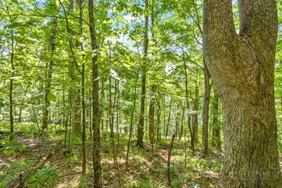 Lot 33 Saratoga, Boone, NC 28607 - Photo 26