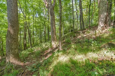 Lot 33 Saratoga, Boone, NC 28607 - Photo 24