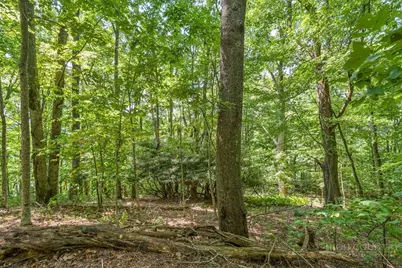 Lot 33 Saratoga, Boone, NC 28607 - Photo 20