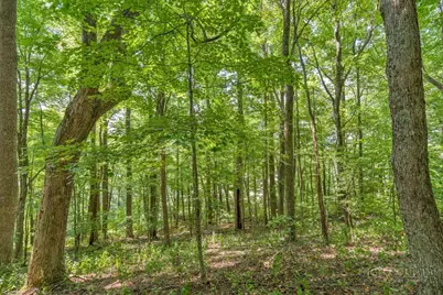 Lot 33 Saratoga, Boone, NC 28607 - Photo 22