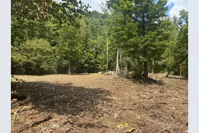 Tba Stony Fork, Ferguson, NC 28624 - Photo 8