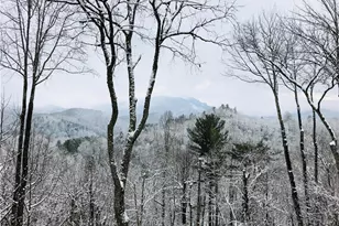 429 Peaceful Haven Dr, Boone, NC 28607 - Photo 22