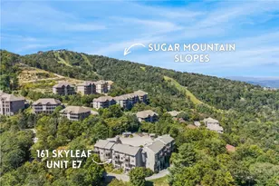 161 Skyleaf Dr, Sugar Mountain, NC 28604 - Photo 2