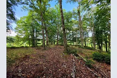 286 Roe Hunt, Laurel Springs, NC 28644 - Photo 36