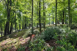 286 Roe Hunt, Laurel Springs, NC 28644 - Photo 40