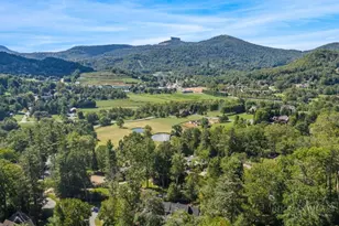 253 Farm Loop Rd, Banner Elk, NC 28604 - Photo 46