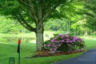 915 Balsam Dr, Newland, NC 28657 - Photo 50